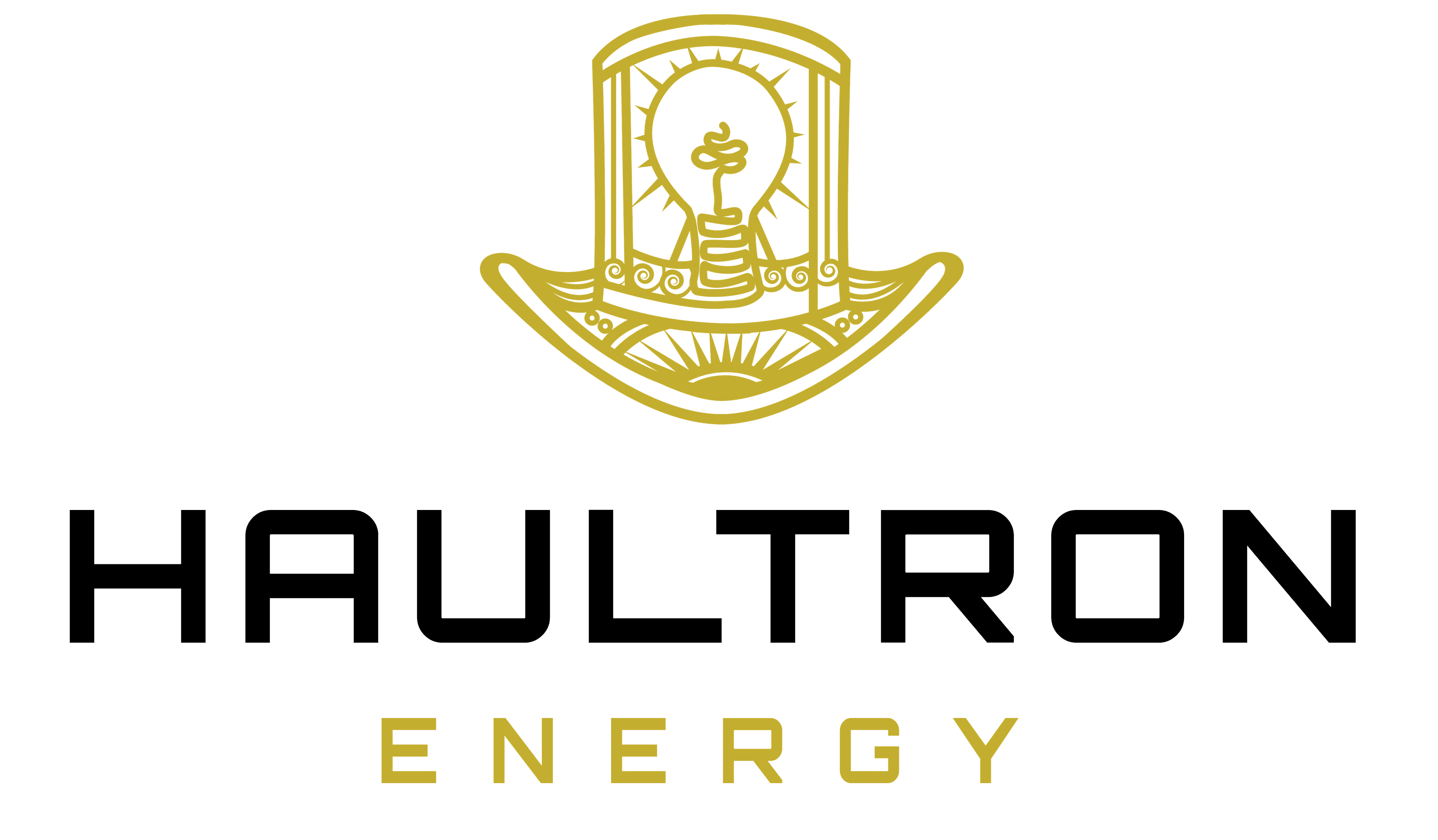 Haultron (Pty) Ltd logo