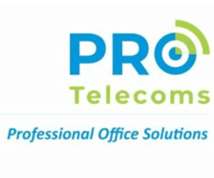 Pro Business Solutions logo